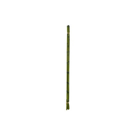 Bambu amarrado fita x6 verde 75cm