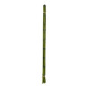 Bambu amarrado fita x6 verde 75cm