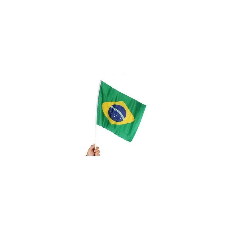 Bandeira Brasil 20x28cm c/haste