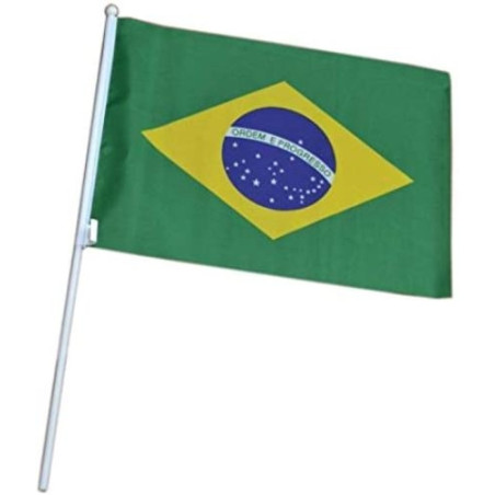 Bandeira Brasil 20x30 c/hast p/carro