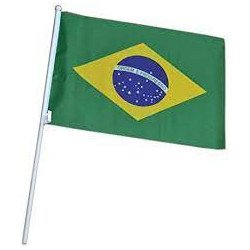 Bandeira Brasil 31X42cm c/haste